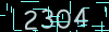 capcha